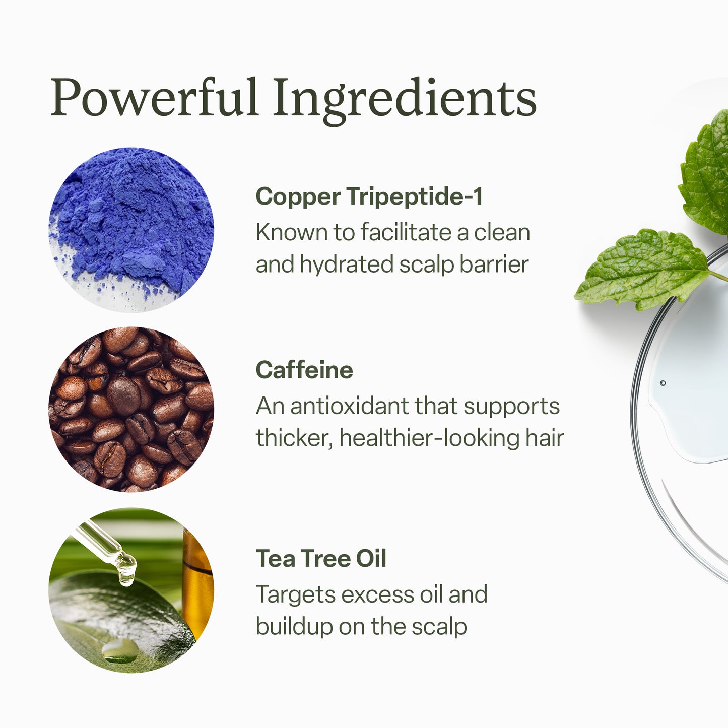 30ml Scalp Serum
